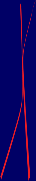 Lines